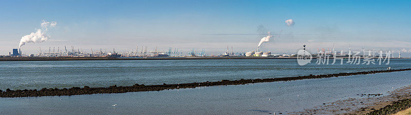 全景天际线鹿特丹港入口maasvlakte 2从荷兰钩